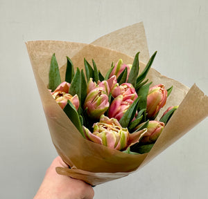 Rosa doble tulipaner