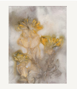 You added Pernille Folcarelli trykk i eike ramme, ‘Honeysuckle 1 saffron/taupe’ to your cart.